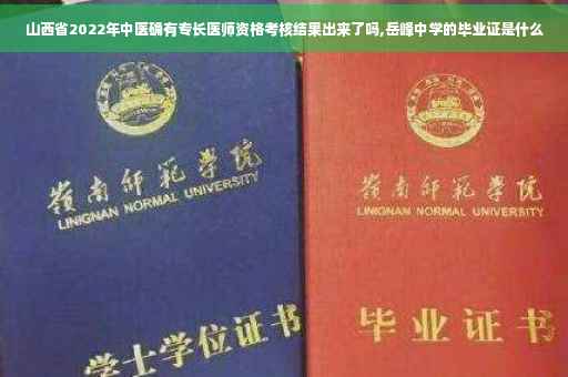 山西省2022年中医确有专长医师资格考核结果出来了吗,岳峰中学的毕业证是什么