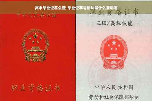 高中毕业证怎么查-毕业证字号图片是什么意思啊