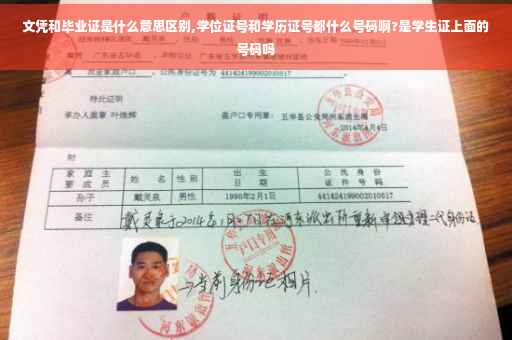文凭和毕业证是什么意思区别,学位证号和学历证号都什么号码啊?是学生证上面的号码吗