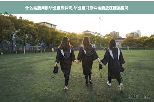 什么需要用到毕业证原件呢,毕业证书原件需要放在档案里吗