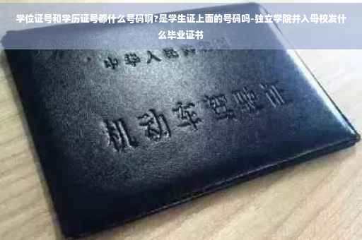 学位证号和学历证号都什么号码啊?是学生证上面的号码吗-独立学院并入母校发什么毕业证书