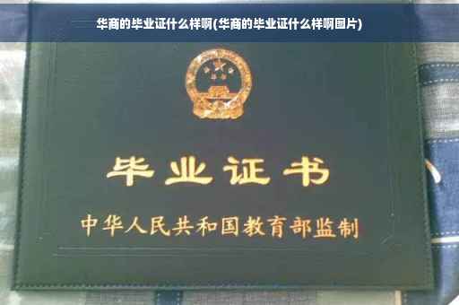 华商的毕业证什么样啊(华商的毕业证什么样啊图片)