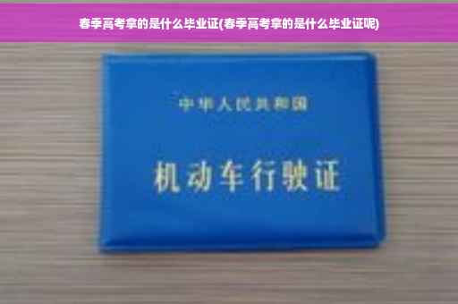 春季高考拿的是什么毕业证(春季高考拿的是什么毕业证呢)