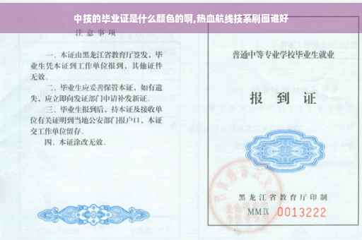 中技的毕业证是什么颜色的啊,热血航线技系刷图谁好
