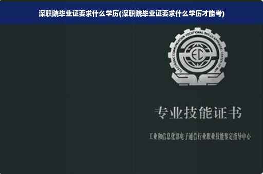 深职院毕业证要求什么学历(深职院毕业证要求什么学历才能考)