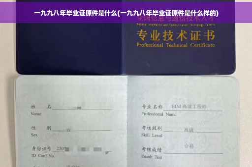 一九九八年毕业证原件是什么(一九九八年毕业证原件是什么样的)