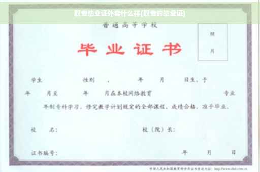 职专毕业证外套什么样(职专的毕业证)