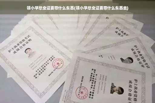 领小学毕业证要带什么东西(领小学毕业证要带什么东西去)