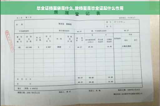 毕业证档案袋是什么,放档案是毕业证起什么作用