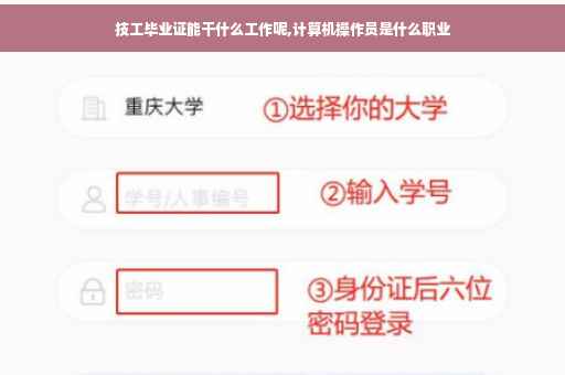 技工毕业证能干什么工作呢,计算机操作员是什么职业