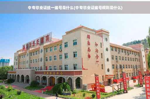 中专毕业证统一编号是什么(中专毕业证编号规则是什么)