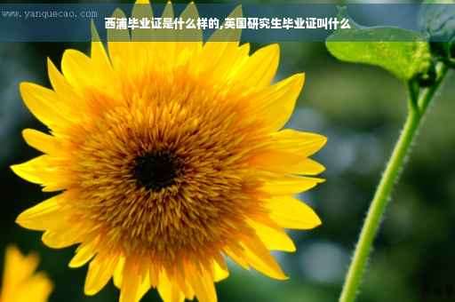 西浦毕业证是什么样的,英国研究生毕业证叫什么
