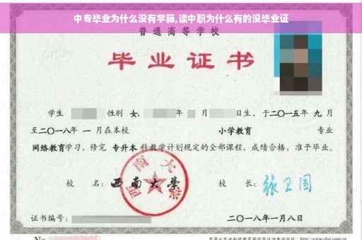 中专毕业为什么没有学籍,读中职为什么有的没毕业证