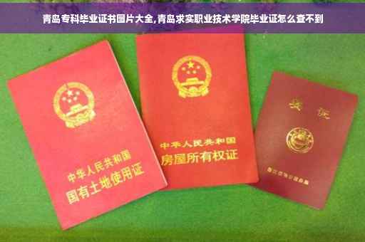 青岛专科毕业证书图片大全,青岛求实职业技术学院毕业证怎么查不到