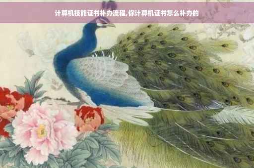 计算机技能证书补办流程,你计算机证书怎么补办的