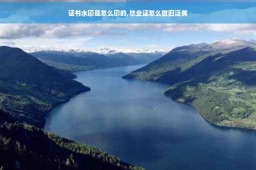 证书水印是怎么印的,毕业证怎么做旧泛黄