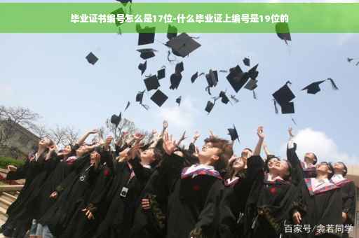 毕业证书编号怎么是17位-什么毕业证上编号是19位的