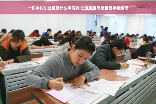 一职中的毕业证是什么学历的,毕业证编号是否是学校编号