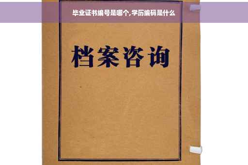 毕业证书编号是哪个,学历编码是什么