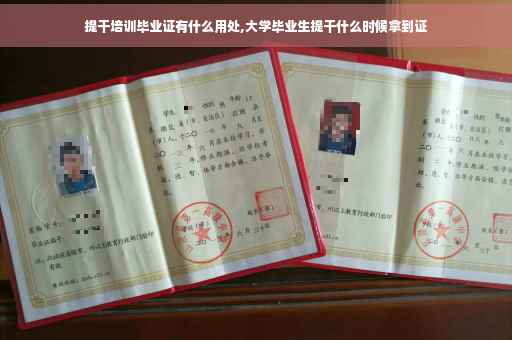 提干培训毕业证有什么用处,大学毕业生提干什么时候拿到证