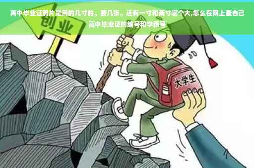高中毕业证照片是用的几寸的。要几张。还有一寸和两寸哪个大,怎么在网上查自己高中毕业证的编号和学籍号