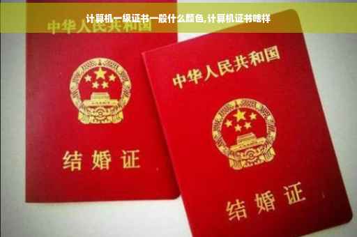 计算机一级证书一般什么颜色,计算机证书啥样