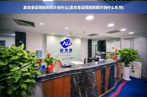 发毕业证领到的照片叫什么(发毕业证领到的照片叫什么名字)