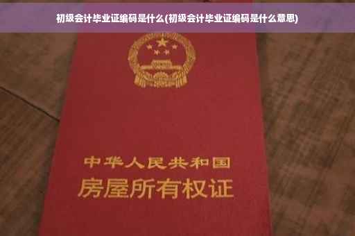 初级会计毕业证编码是什么(初级会计毕业证编码是什么意思)