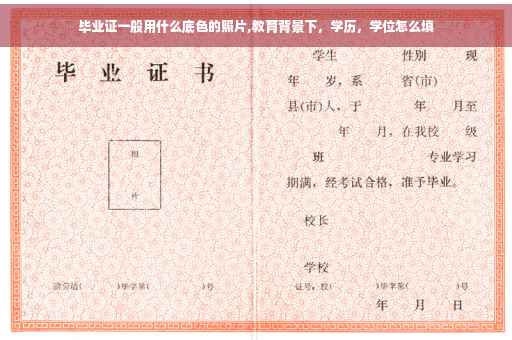 毕业证一般用什么底色的照片,教育背景下，学历，学位怎么填