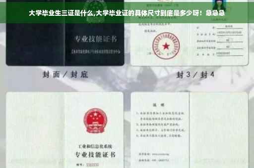大学毕业生三证是什么,大学毕业证的具体尺寸到底是多少呀！急急急
