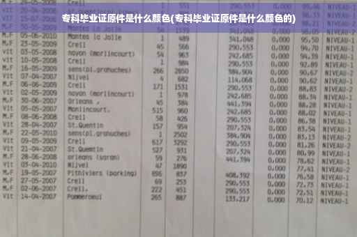 专科毕业证原件是什么颜色(专科毕业证原件是什么颜色的)