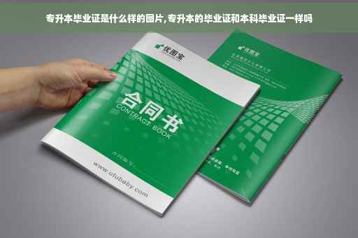 专升本毕业证是什么样的图片,专升本的毕业证和本科毕业证一样吗