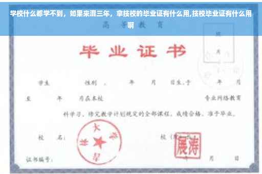 学校什么都学不到，如果来混三年，拿技校的毕业证有什么用,技校毕业证有什么用啊