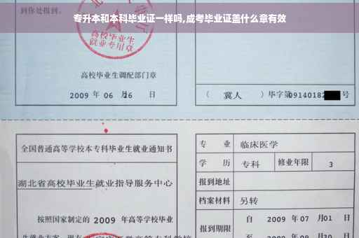 专升本和本科毕业证一样吗,成考毕业证盖什么章有效