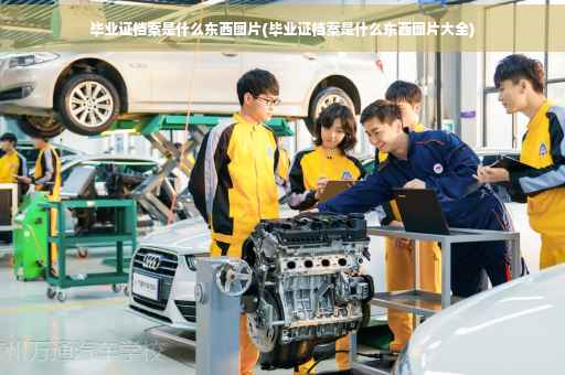 毕业证档案是什么东西图片(毕业证档案是什么东西图片大全)
