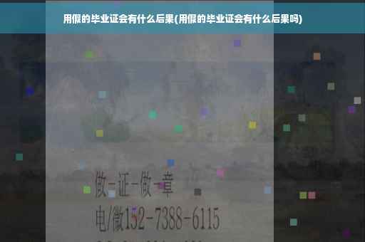 用假的毕业证会有什么后果(用假的毕业证会有什么后果吗)