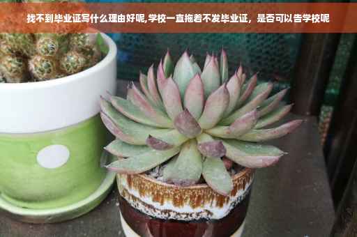 找不到毕业证写什么理由好呢,学校一直拖着不发毕业证，是否可以告学校呢