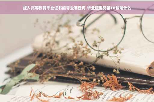 成人高等教育毕业证书编号去哪查询,毕业证编码第18位是什么