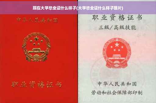 现在大学毕业证什么样子(大学毕业证什么样子图片)