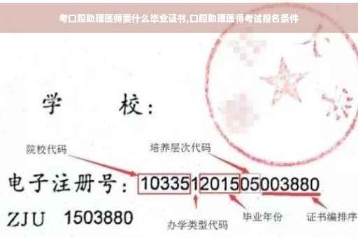 考口腔助理医师要什么毕业证书,口腔助理医师考试报名条件