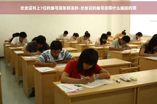 毕业证书上7位的编号是怎样来的-毕业证的编号按照什么编排的呢