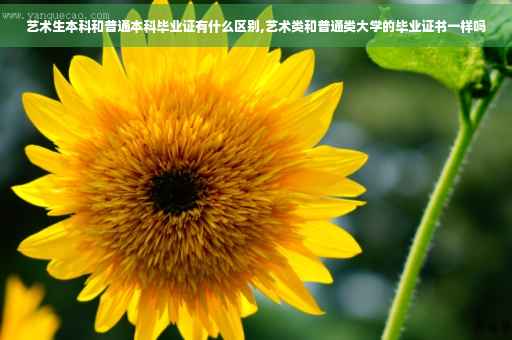 艺术生本科和普通本科毕业证有什么区别,艺术类和普通类大学的毕业证书一样吗