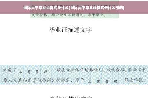 国际高中毕业证样式是什么(国际高中毕业证样式是什么样的)