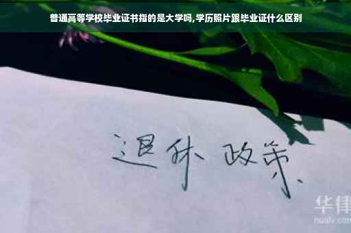 普通高等学校毕业证书指的是大学吗,学历照片跟毕业证什么区别