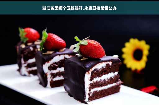 浙江省里哪个卫校最好,永康卫校是否公办