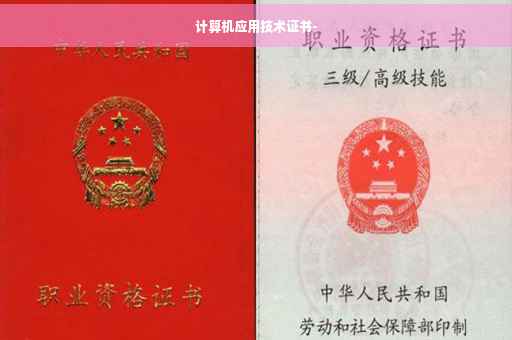 计算机应用技术证书-