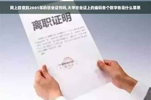 网上能查到2001年的毕业证书吗,大学毕业证上的编码各个数字各是什么意思