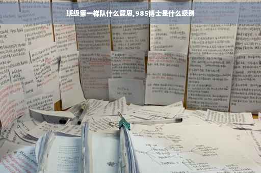 班级第一梯队什么意思,985博士是什么级别