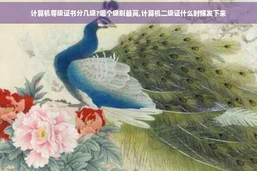计算机等级证书分几级?哪个级别最高,计算机二级证什么时候发下来