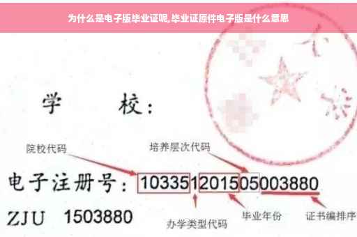 为什么是电子版毕业证呢,毕业证原件电子版是什么意思